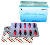 Ampicillin 250mg